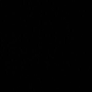 Meet your Posher, Bob